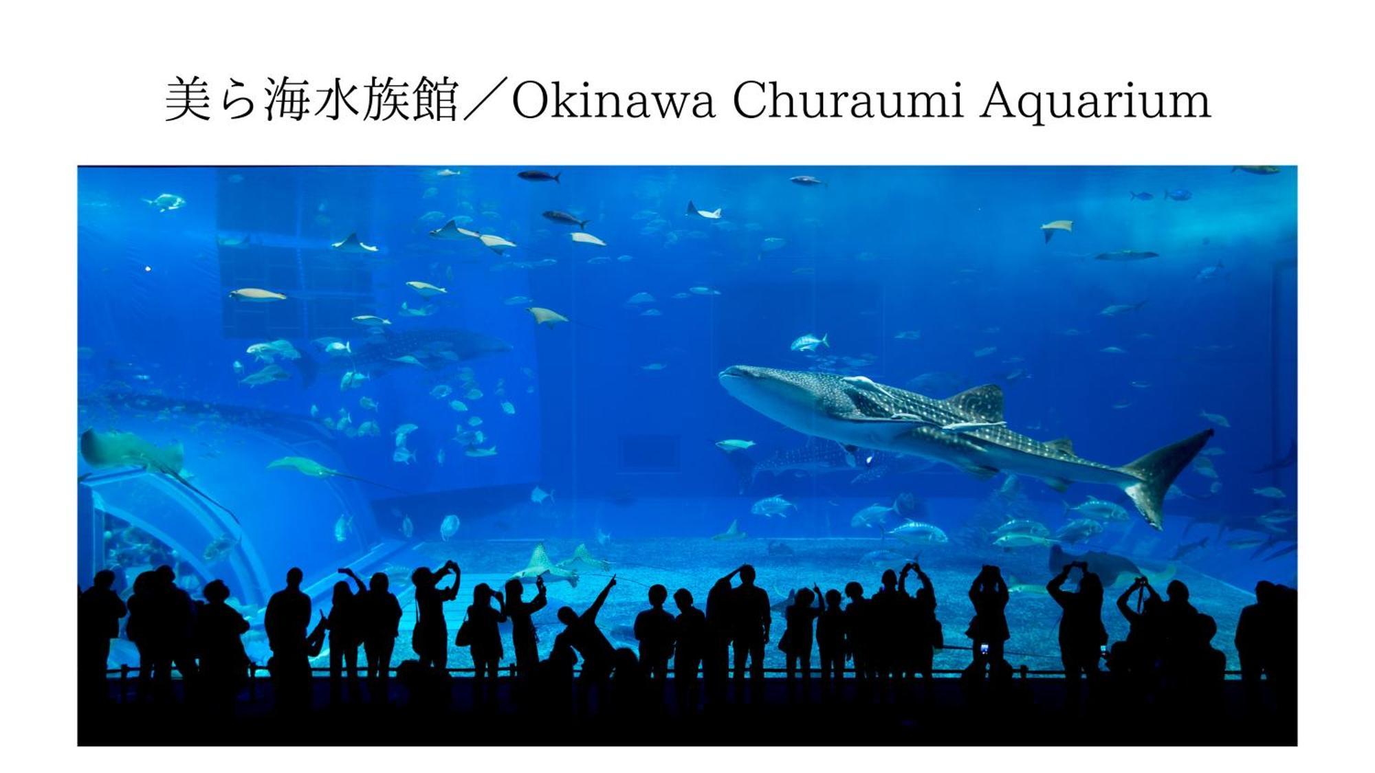 Aqua Shallows Onna Bagian luar foto